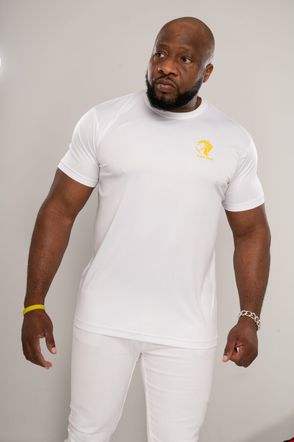 Plus Size Men's Cool Smooth T-shirt